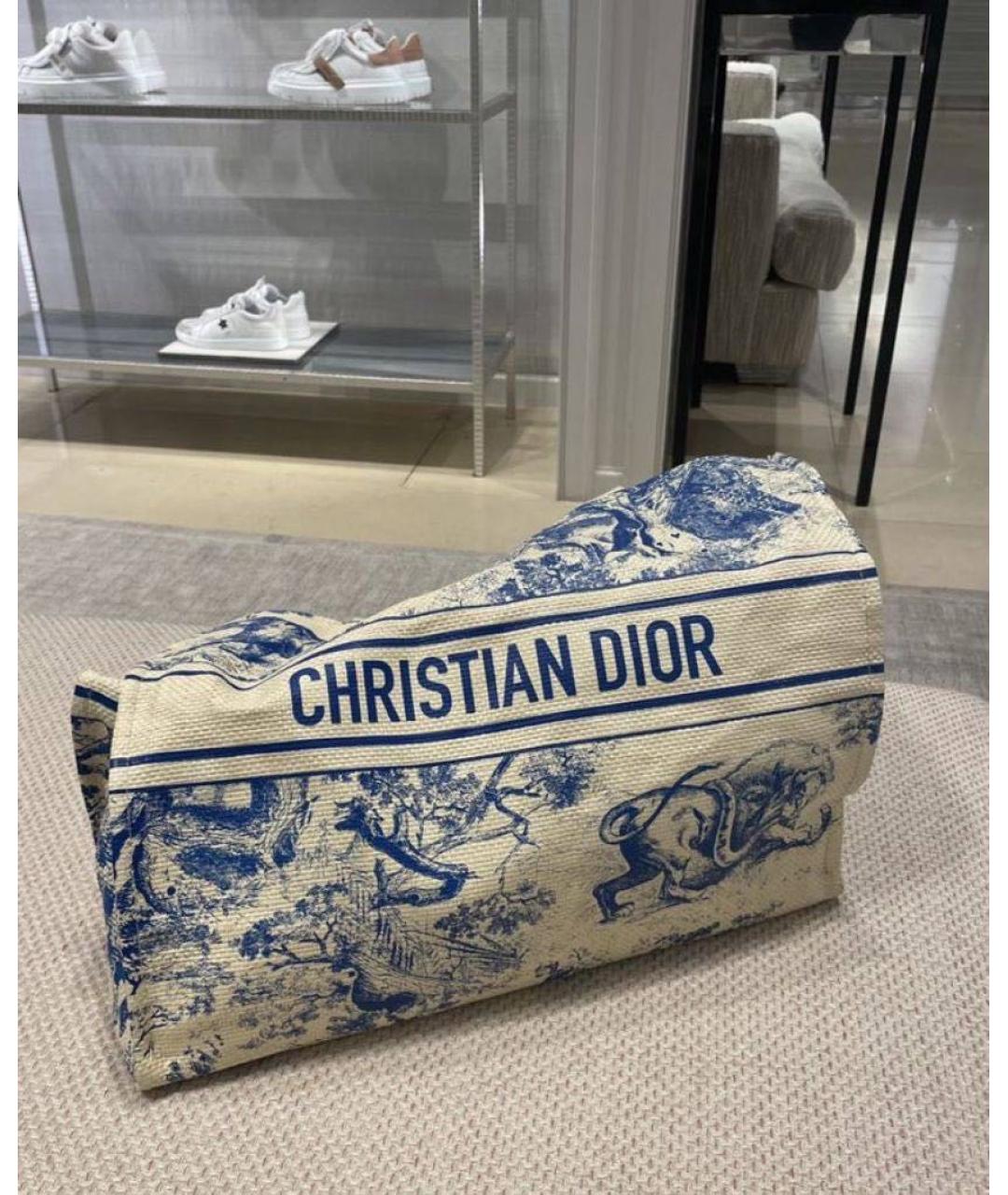 CHRISTIAN DIOR Бежевая сумка тоут, фото 5