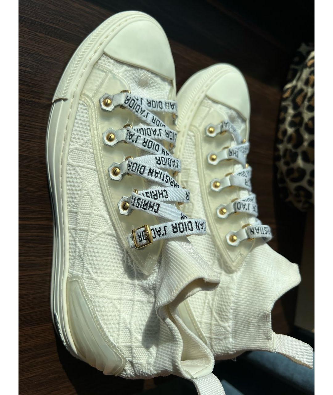 christian dior shoes converse
