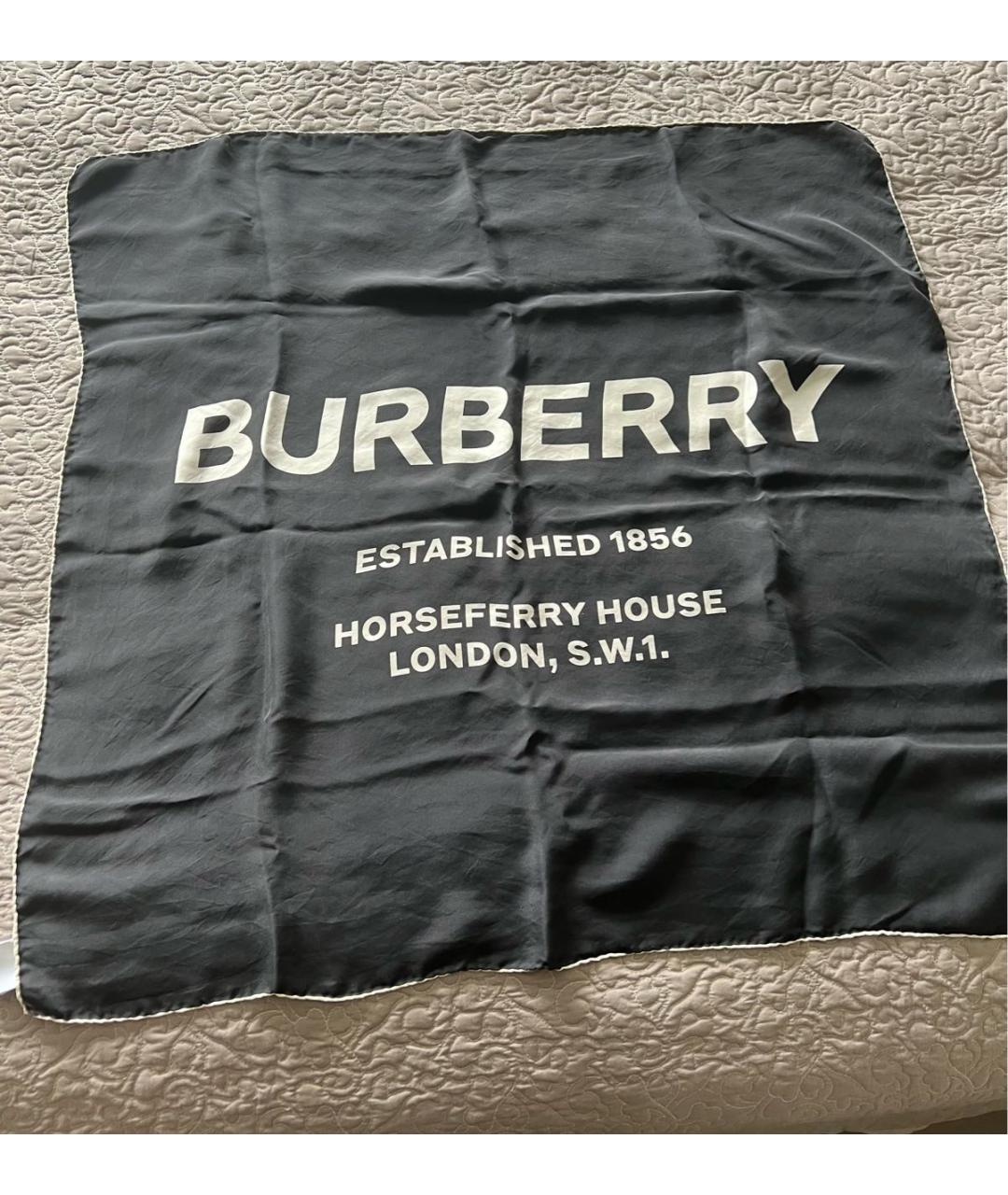 Burberry established 1856 scarf best sale