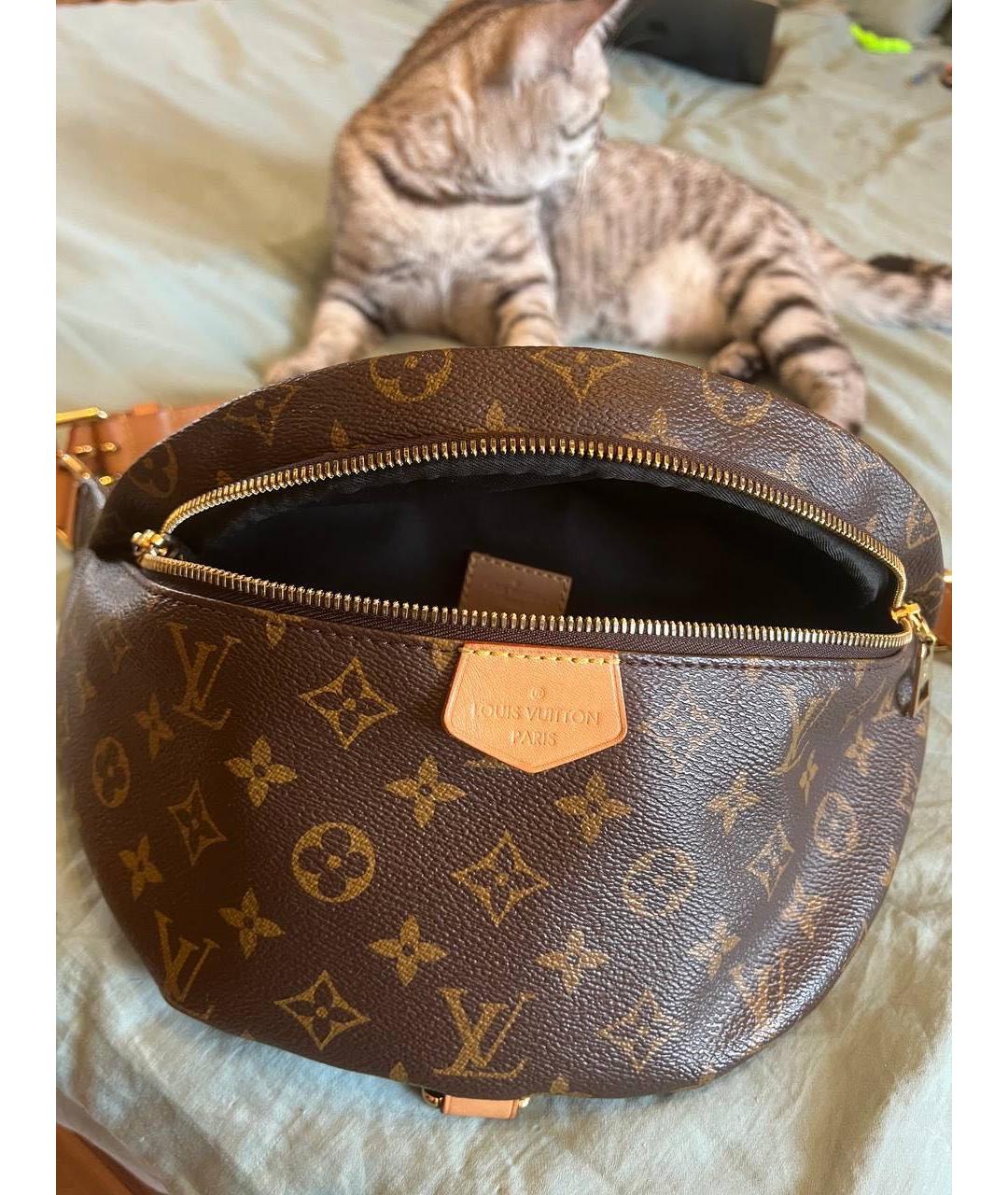 LOUIS VUITTON Коричневая кожаная поясная сумка, фото 9