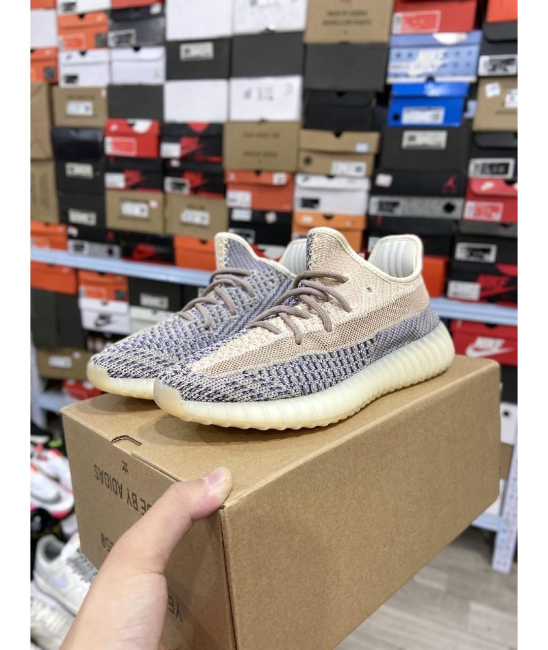 ADIDAS YEEZY Мульти низкие кроссовки / кеды, фото 5