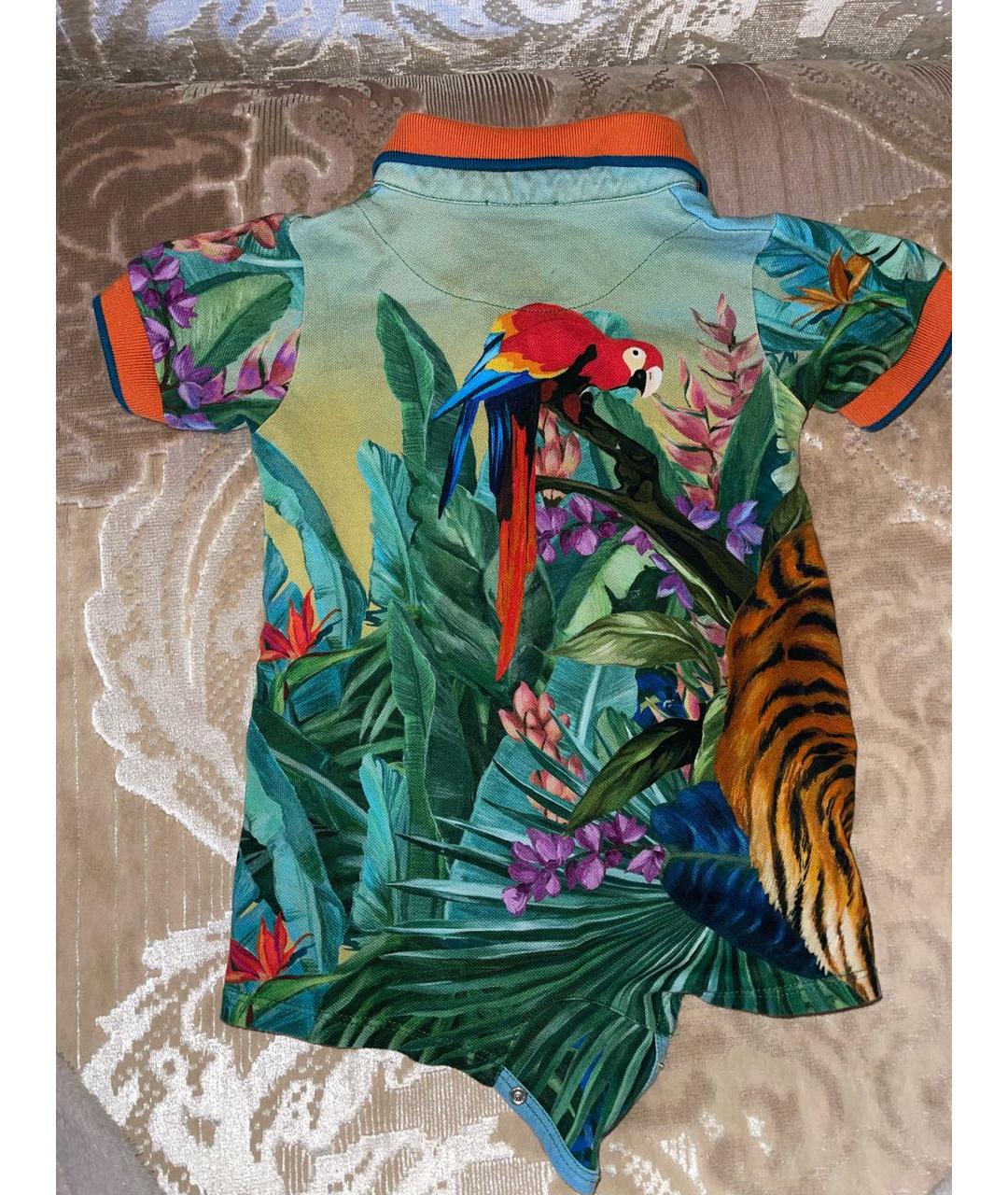 DOLCE&GABBANA Зеленый хлопковый боди / песочник, фото 2