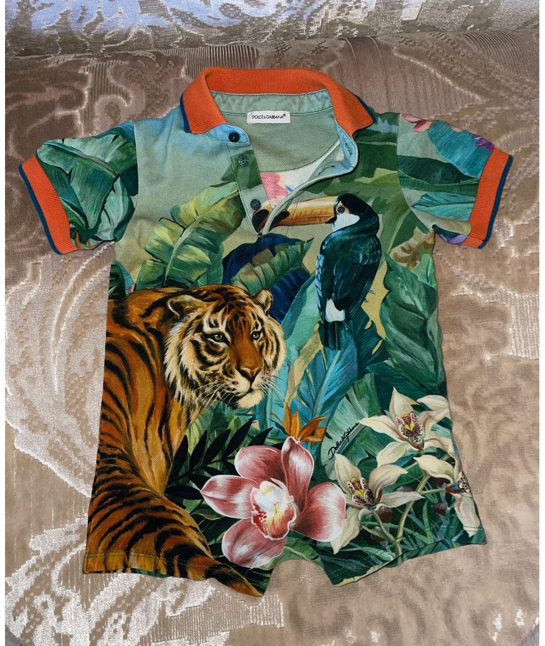DOLCE&GABBANA Зеленый хлопковый боди / песочник, фото 7