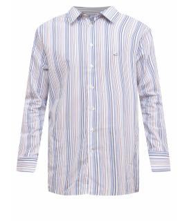 ETRO Классическая рубашка