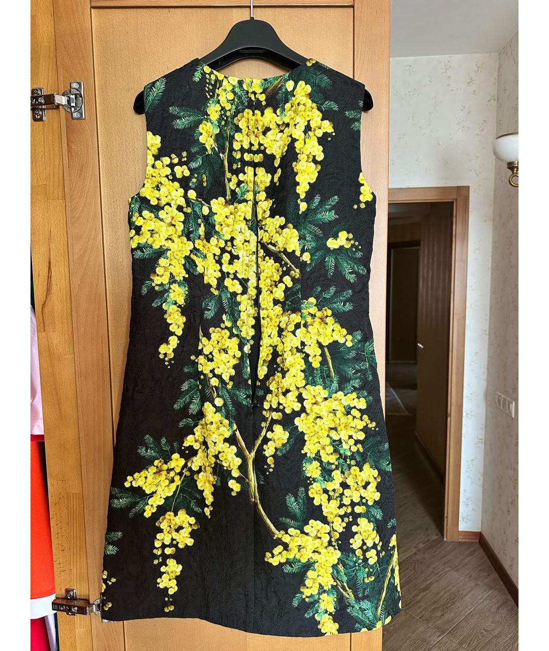 DOLCE&GABBANA Мульти хлопковое повседневное платье, фото 2