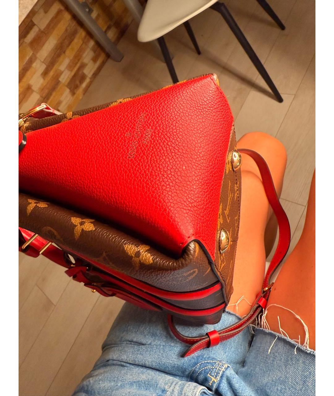 LOUIS VUITTON Коричневая кожаная сумка тоут, фото 6