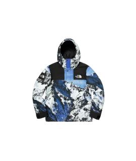 THE NORTH FACE Пуховик