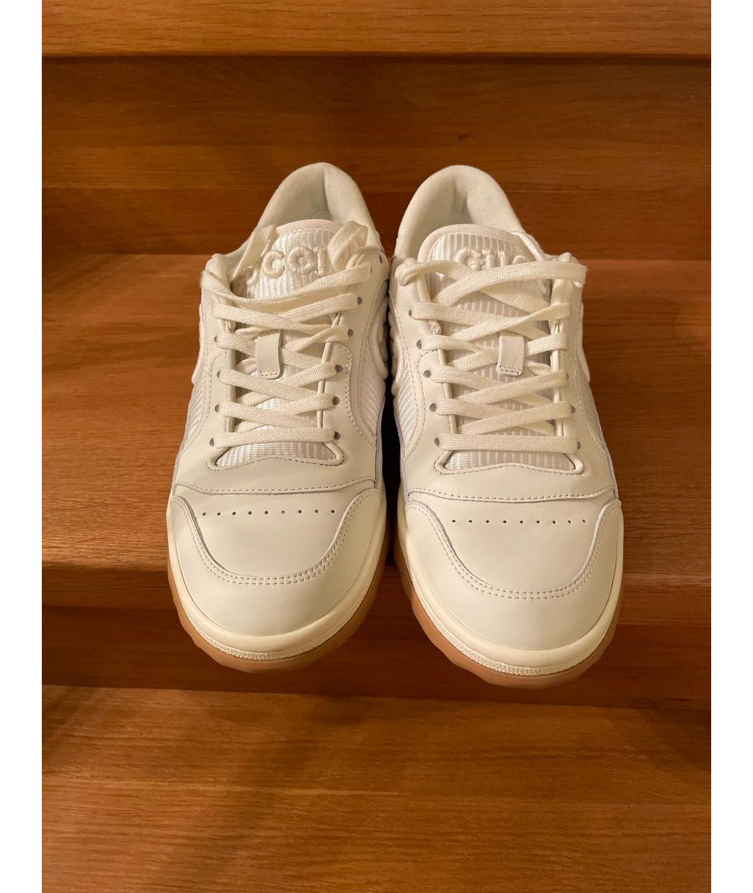 Adidas continental gucci sale