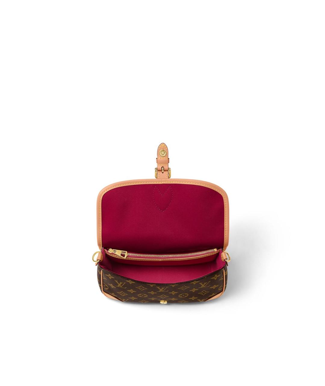 LOUIS VUITTON Коричневая кожаная сумка через плечо, фото 4