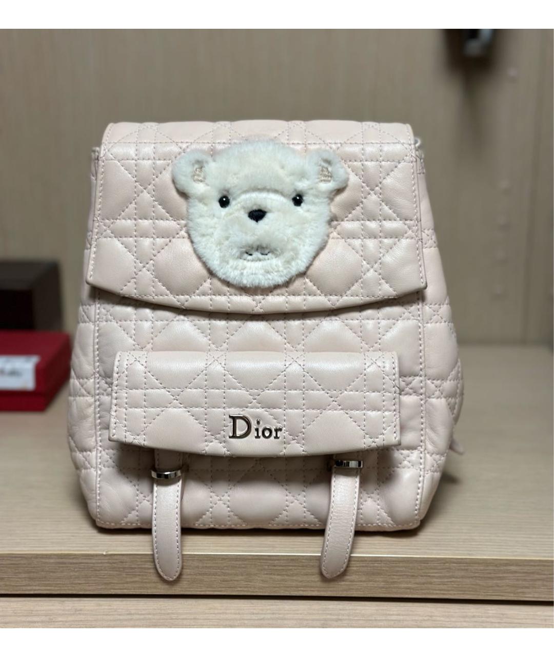 BABY DIOR Розовый рюкзак, фото 9