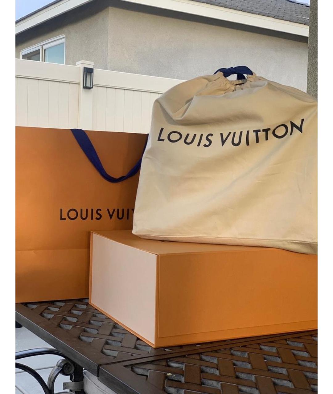LOUIS VUITTON Коричневая сумка тоут, фото 5