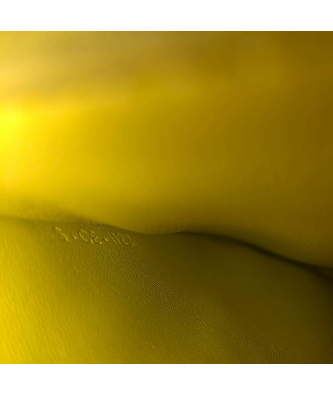 CELINE PRE-OWNED Желтая сумка тоут из экзотической кожи, фото 8
