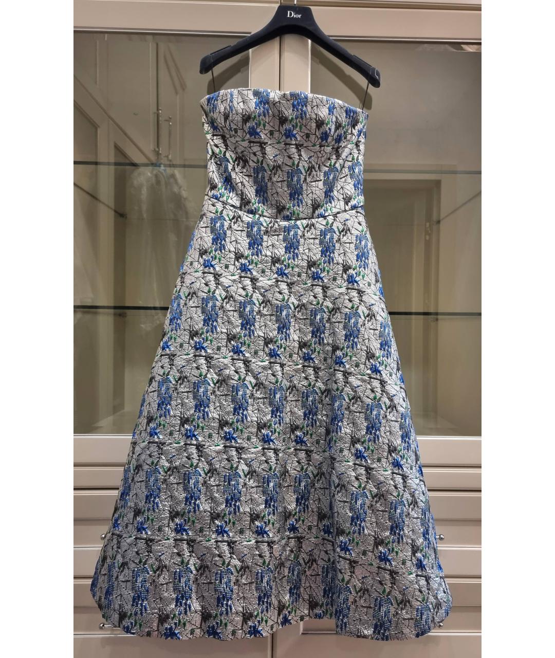CHRISTIAN DIOR Серебряное полиамидовое вечернее платье, фото 10