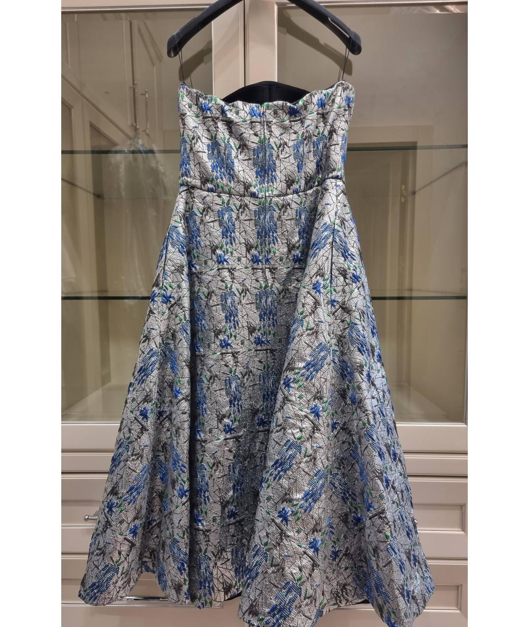 CHRISTIAN DIOR Серебряное полиамидовое вечернее платье, фото 2
