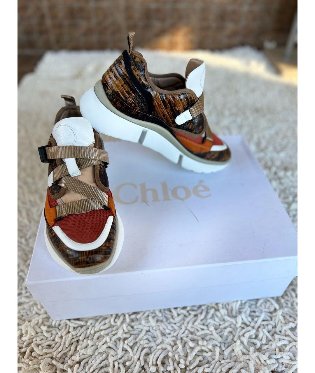 CHLOE Коричневые кожаные кроссовки, фото 6