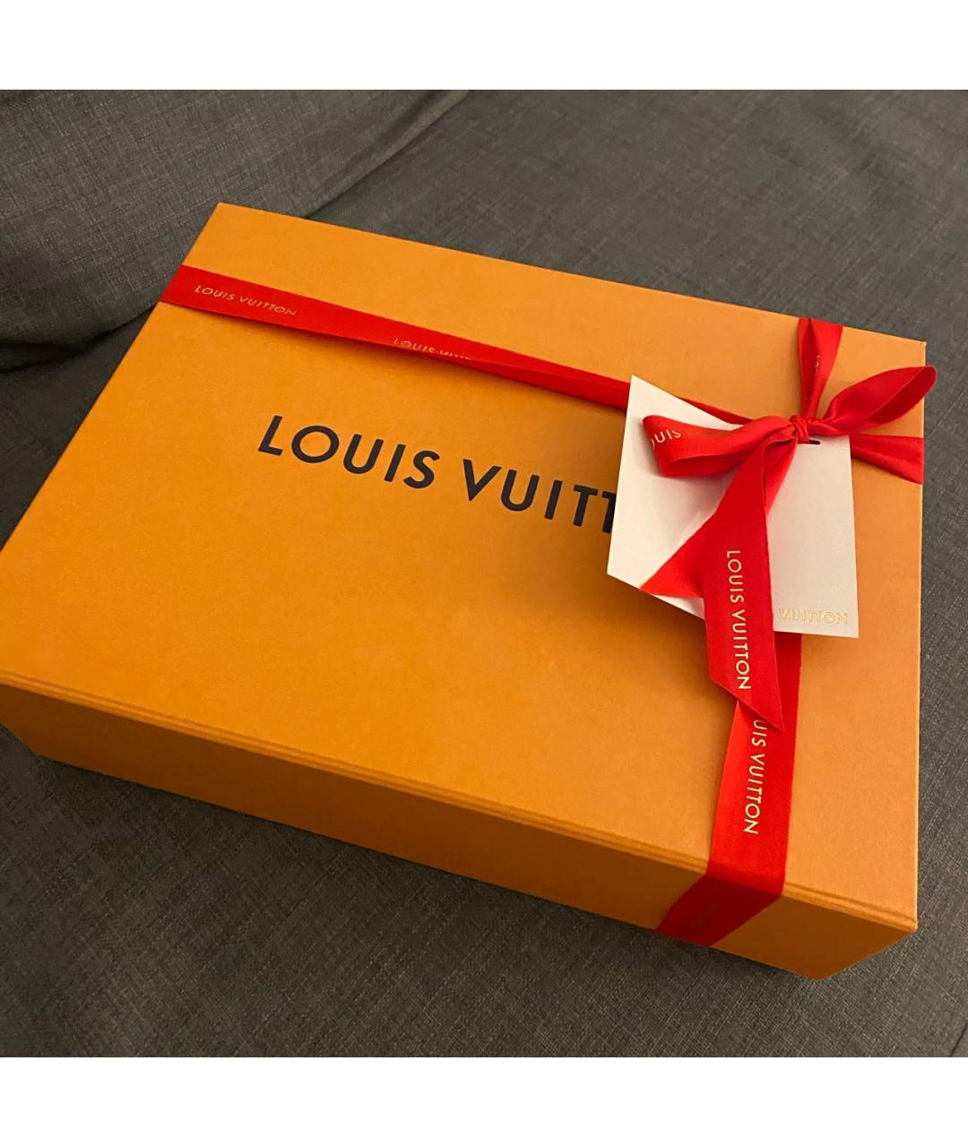 LOUIS VUITTON Коричневая сумка с короткими ручками, фото 7