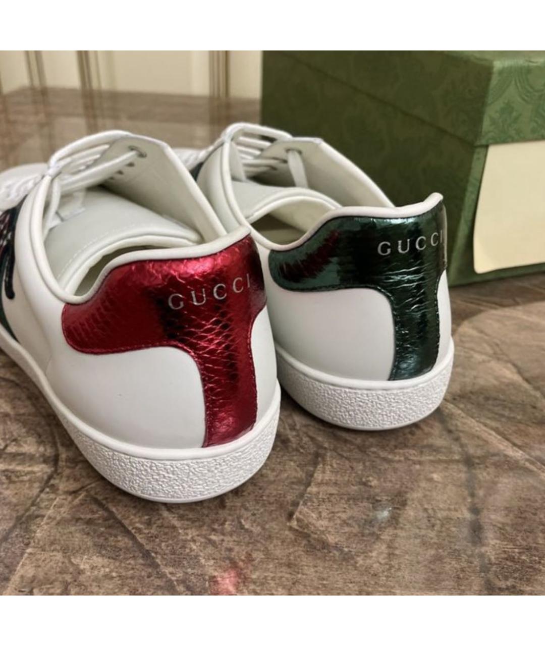 Ace leather sneaker gucci hot sale