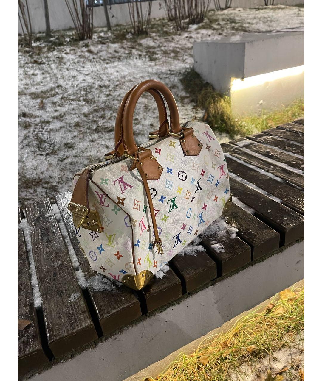 LOUIS VUITTON Мульти кожаная сумка с короткими ручками, фото 3
