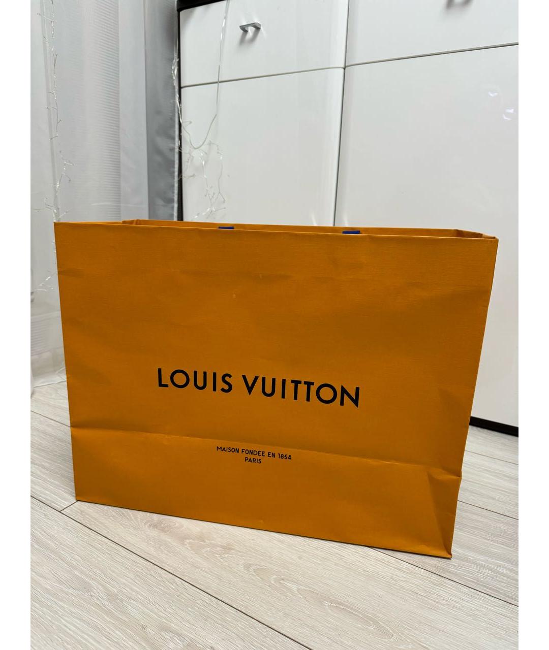 LOUIS VUITTON Мульти кожаная сумка с короткими ручками, фото 5