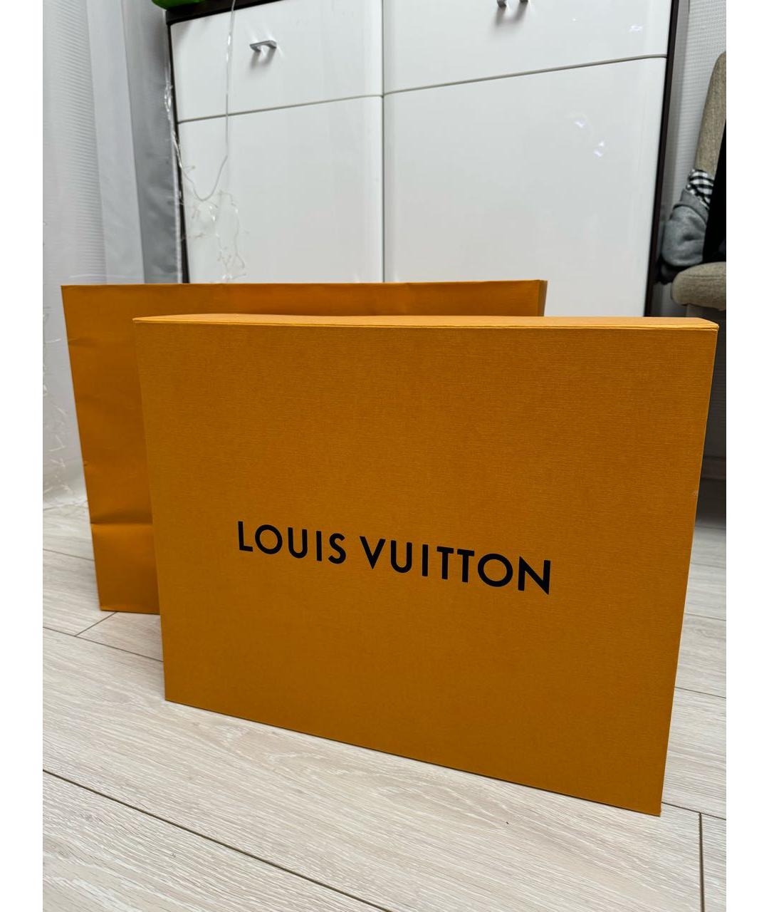 LOUIS VUITTON Мульти кожаная сумка с короткими ручками, фото 6