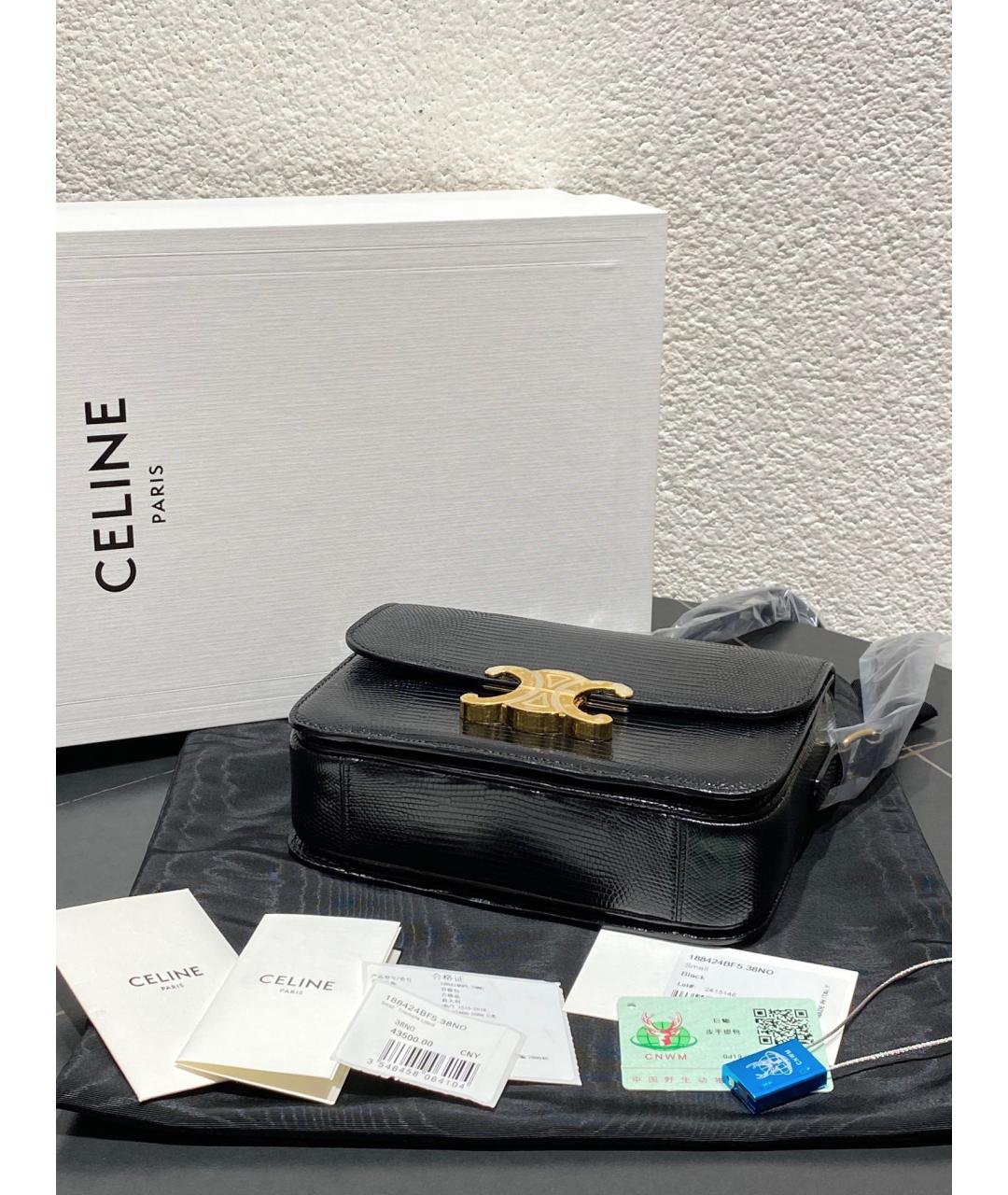 CELINE PRE-OWNED Черная сумка через плечо из экзотической кожи, фото 6