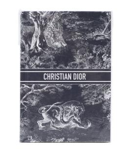 DIOR HOMME Книга