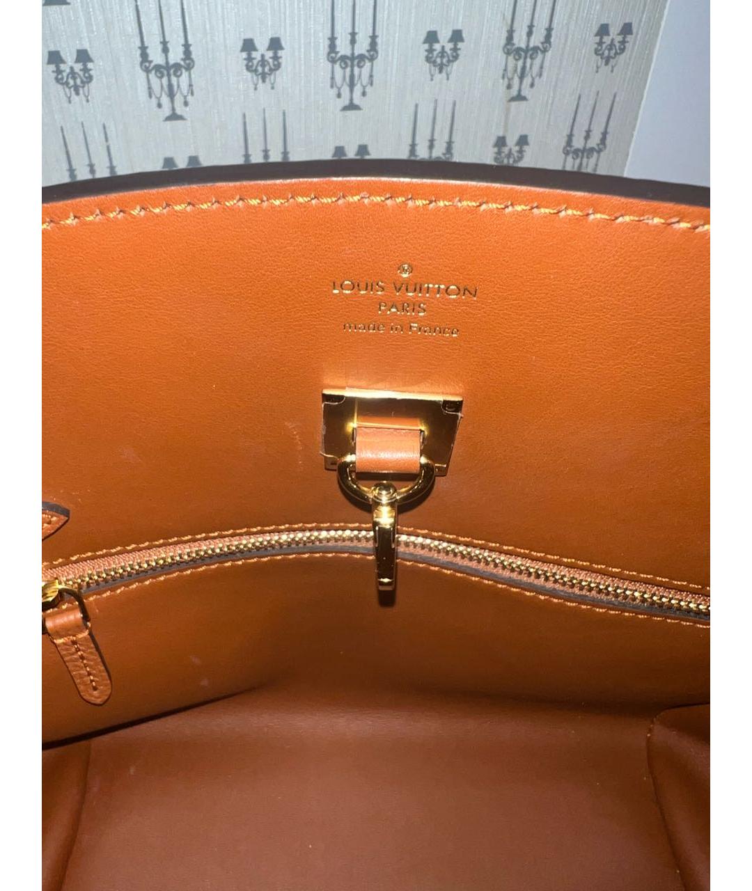 LOUIS VUITTON PRE-OWNED Кожаная сумка с короткими ручками, фото 8