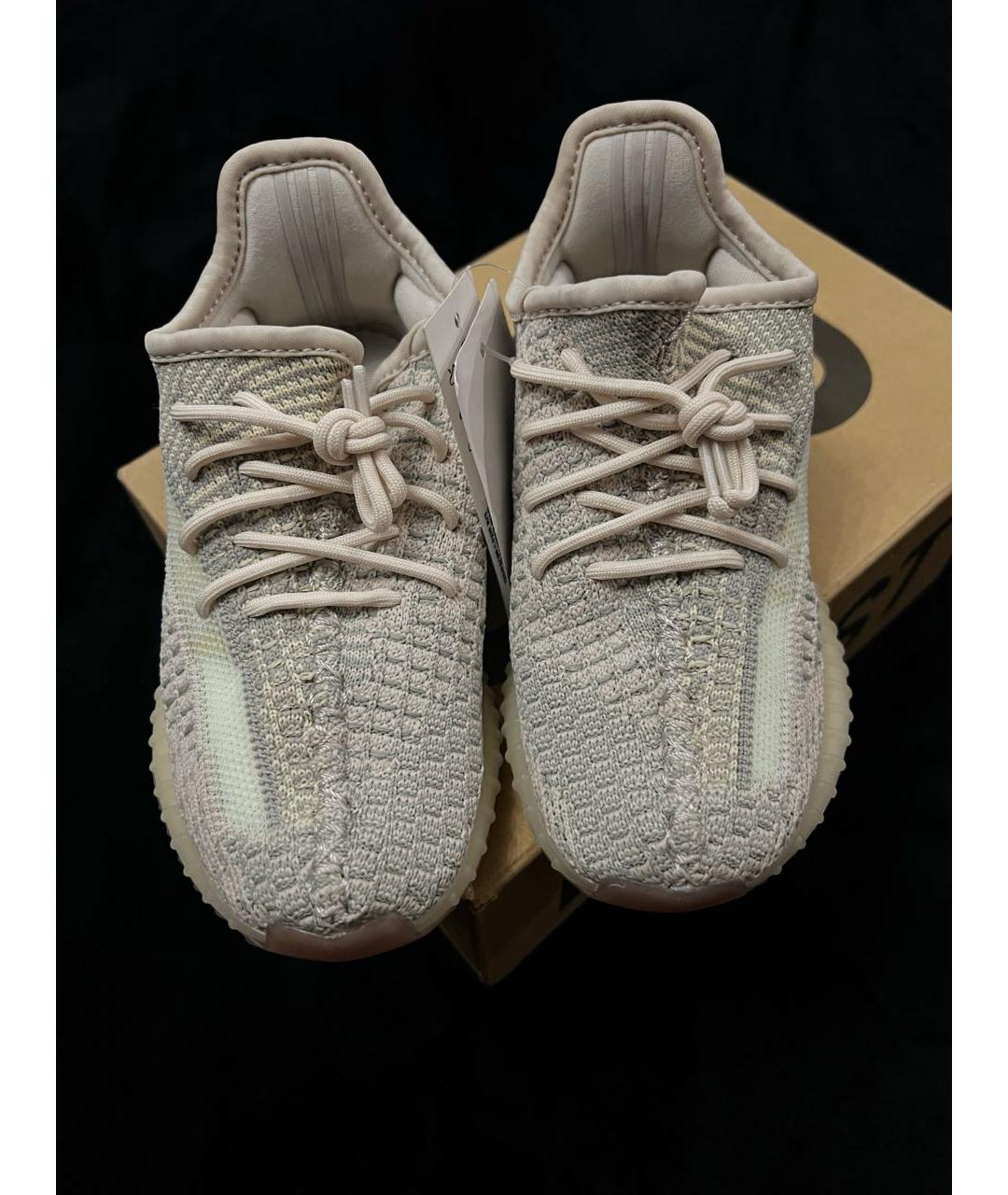 ADIDAS YEEZY Мульти кеды, фото 4