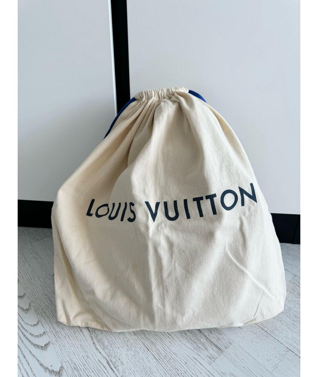 LOUIS VUITTON PRE-OWNED Коричневый рюкзак, фото 6