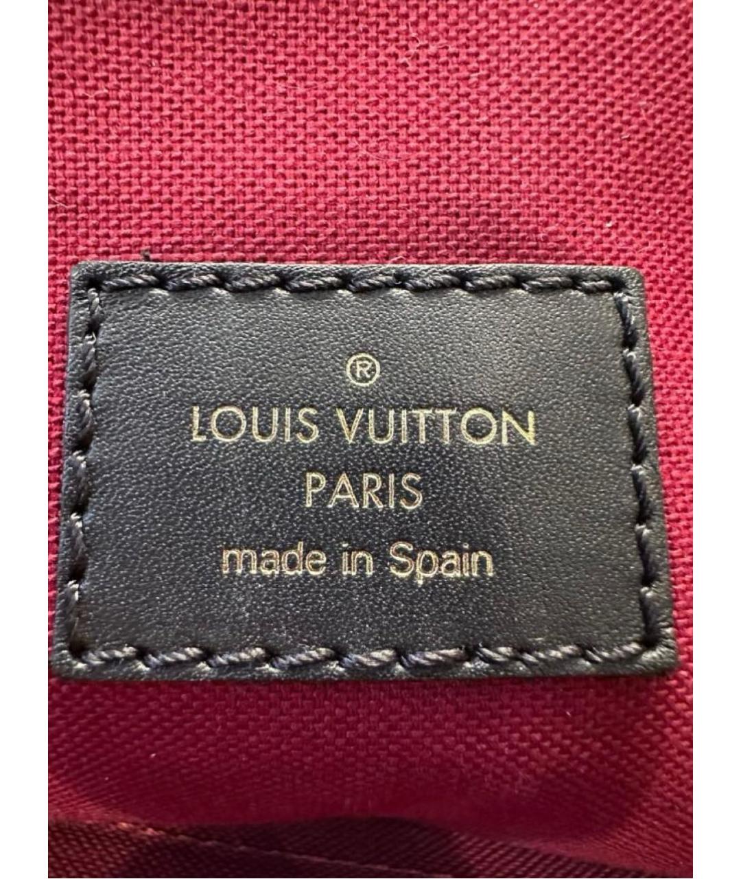 LOUIS VUITTON Коричневый кожаный рюкзак, фото 8