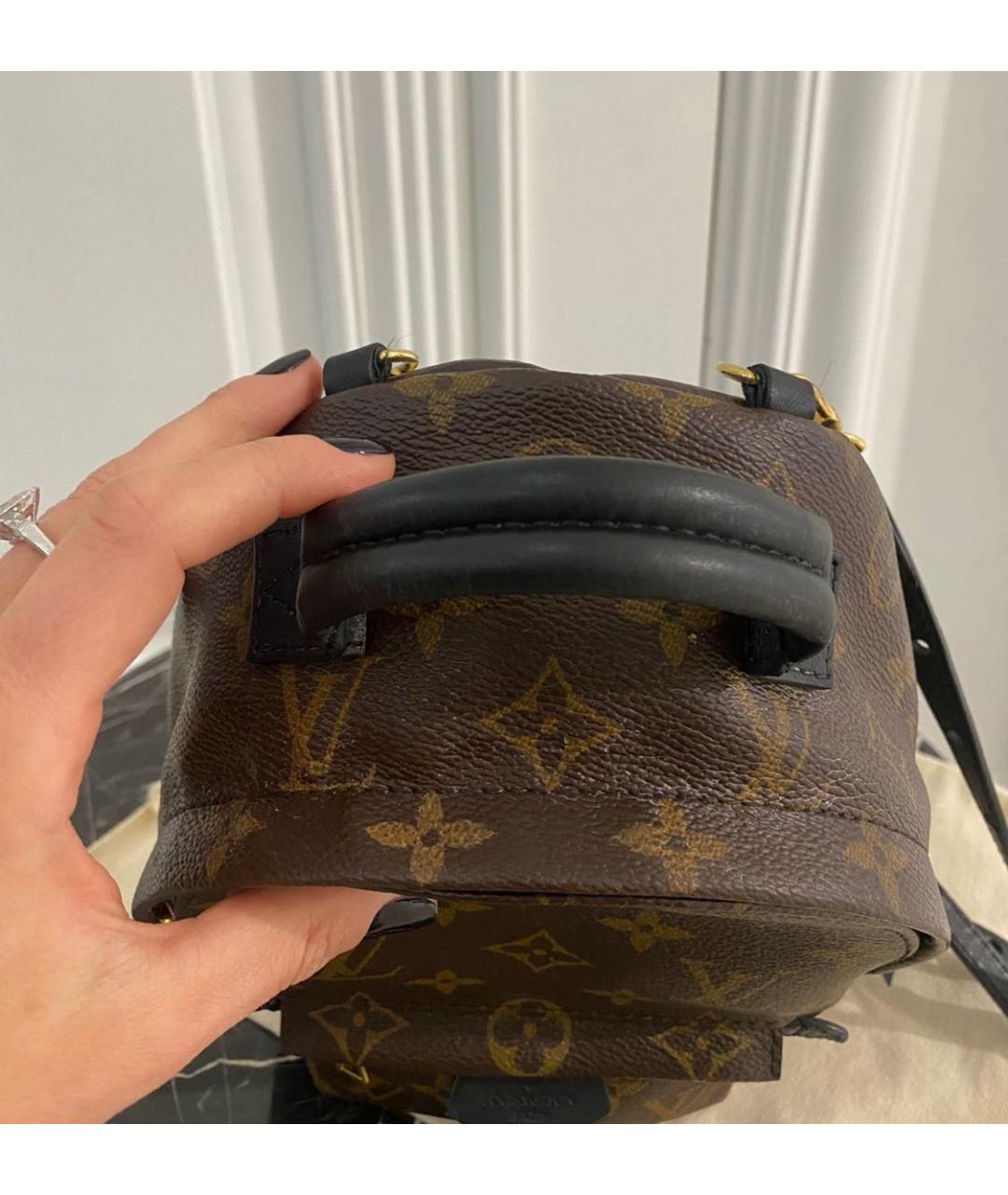 LOUIS VUITTON PRE-OWNED Коричневый рюкзак, фото 7