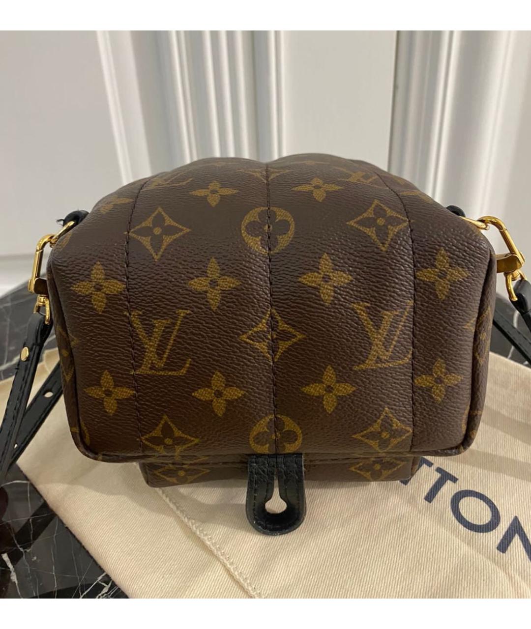 LOUIS VUITTON PRE-OWNED Коричневый рюкзак, фото 6