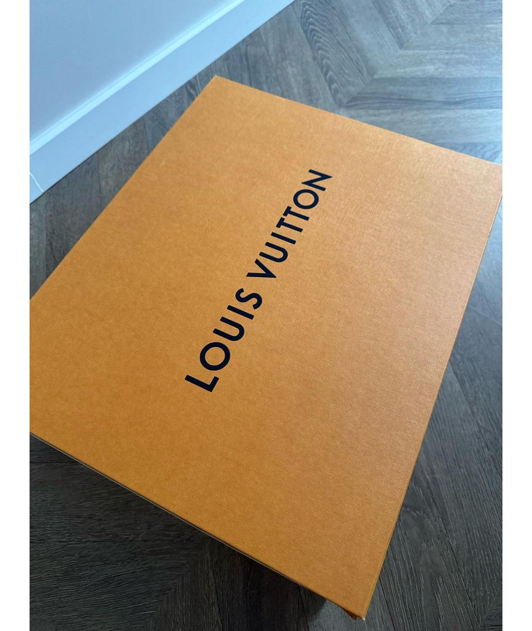 LOUIS VUITTON PRE-OWNED Коричневая сумка тоут, фото 8