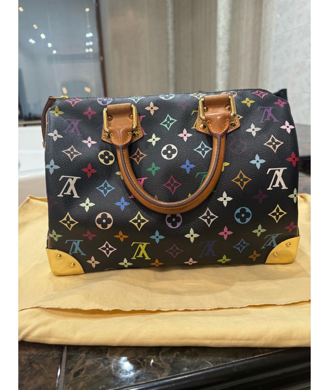 LOUIS VUITTON Мульти сумка с короткими ручками, фото 2
