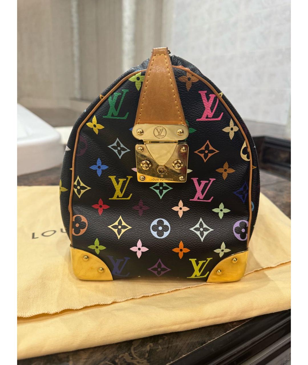 LOUIS VUITTON Мульти сумка с короткими ручками, фото 3