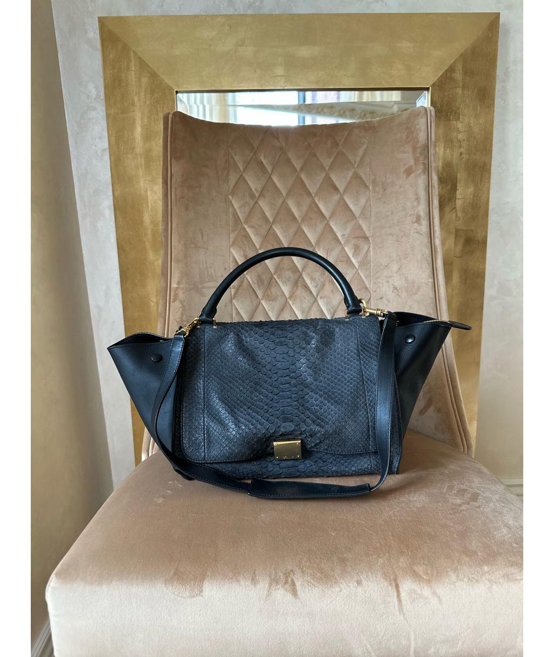 CELINE PRE-OWNED Черная сумка с короткими ручками из экзотической кожи, фото 6