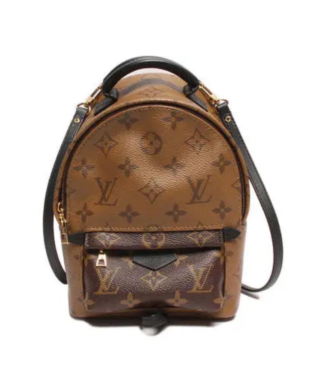 LOUIS VUITTON PRE-OWNED Коричневый рюкзак, фото 1