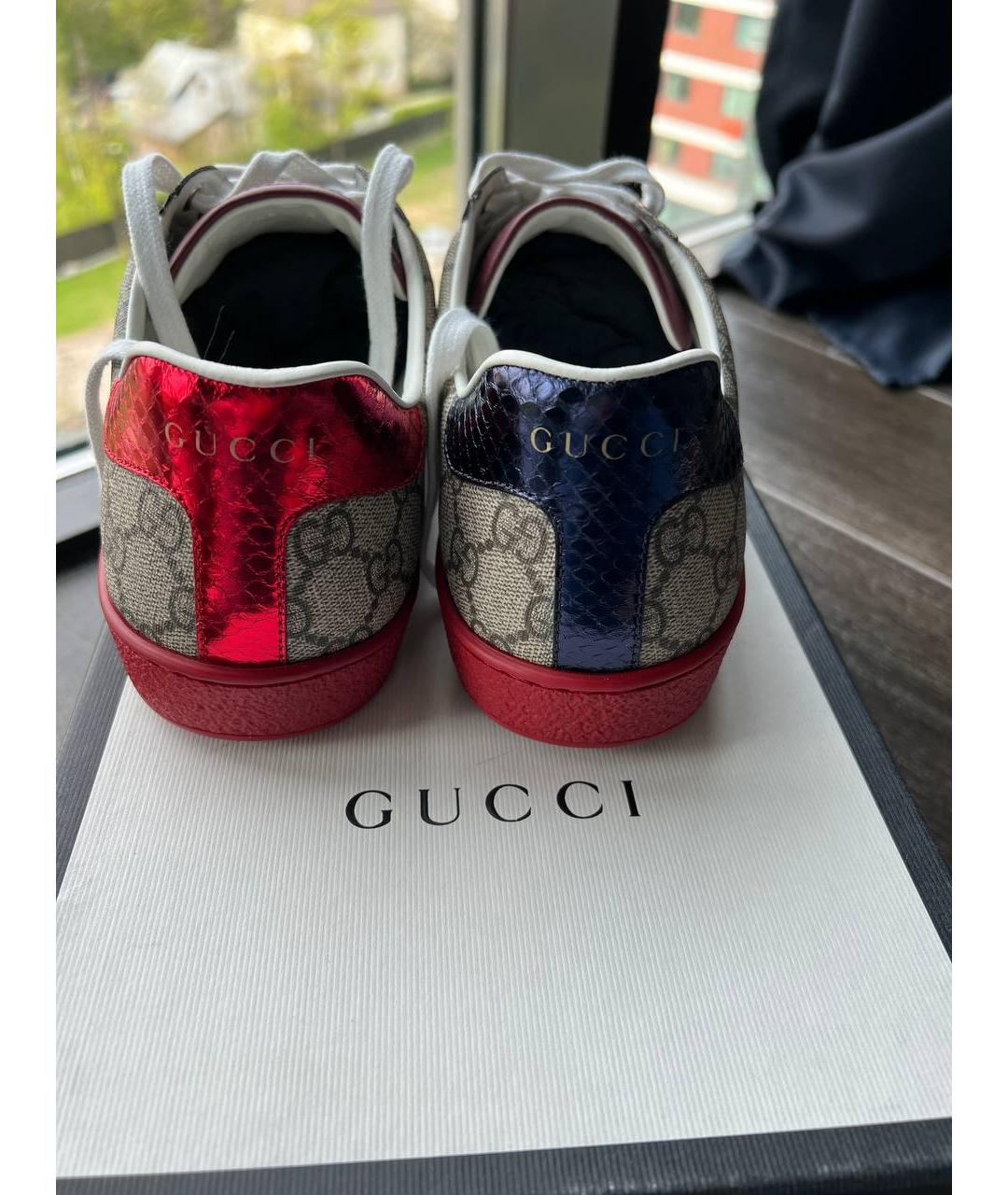 GUCCI Низкие кроссовки / кеды, фото 3