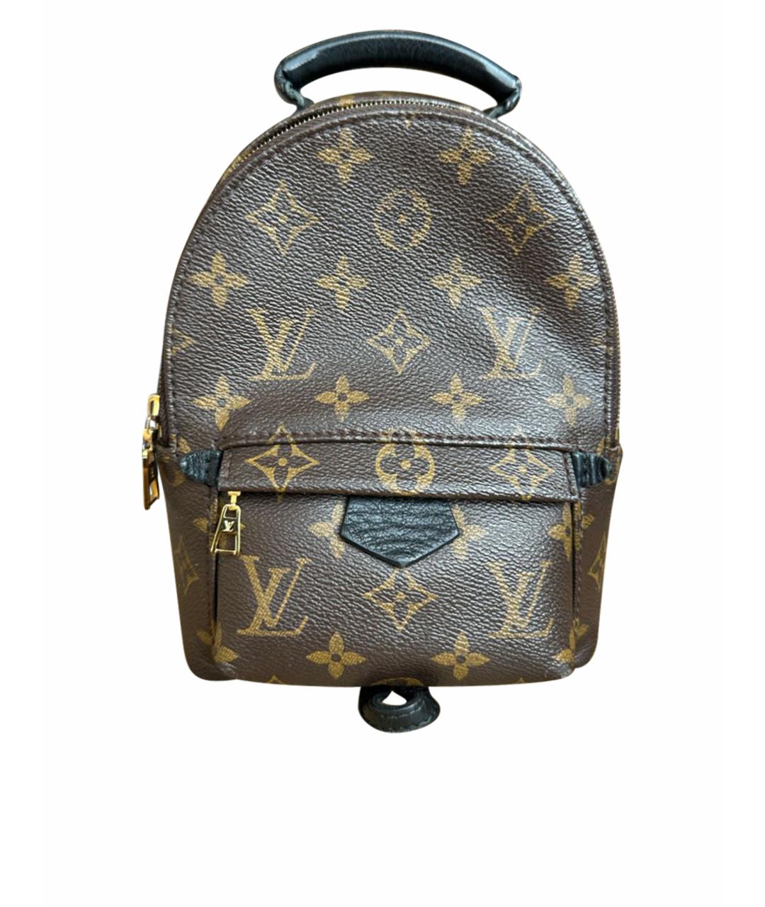 LOUIS VUITTON PRE-OWNED Коричневый рюкзак, фото 1