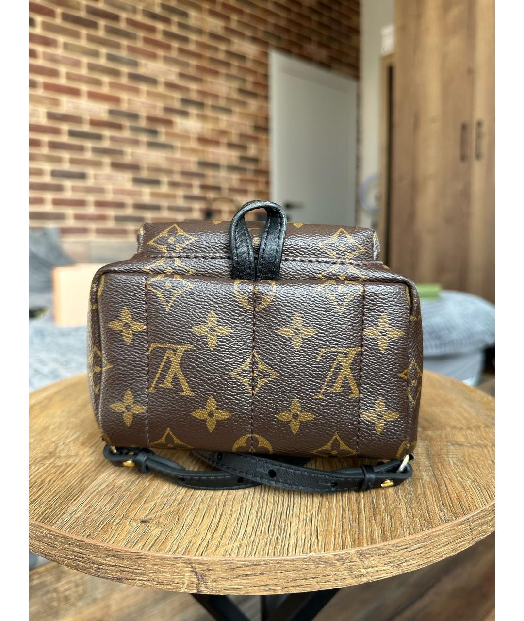 LOUIS VUITTON PRE-OWNED Коричневый рюкзак, фото 6