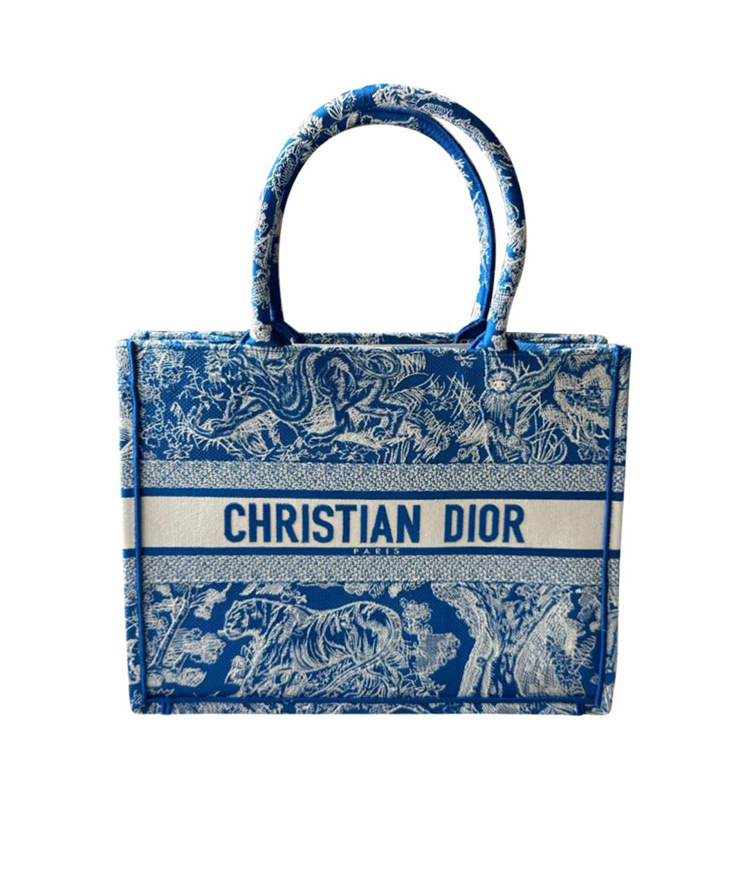 CHRISTIAN DIOR Синяя хлопковая пляжная сумка, фото 1