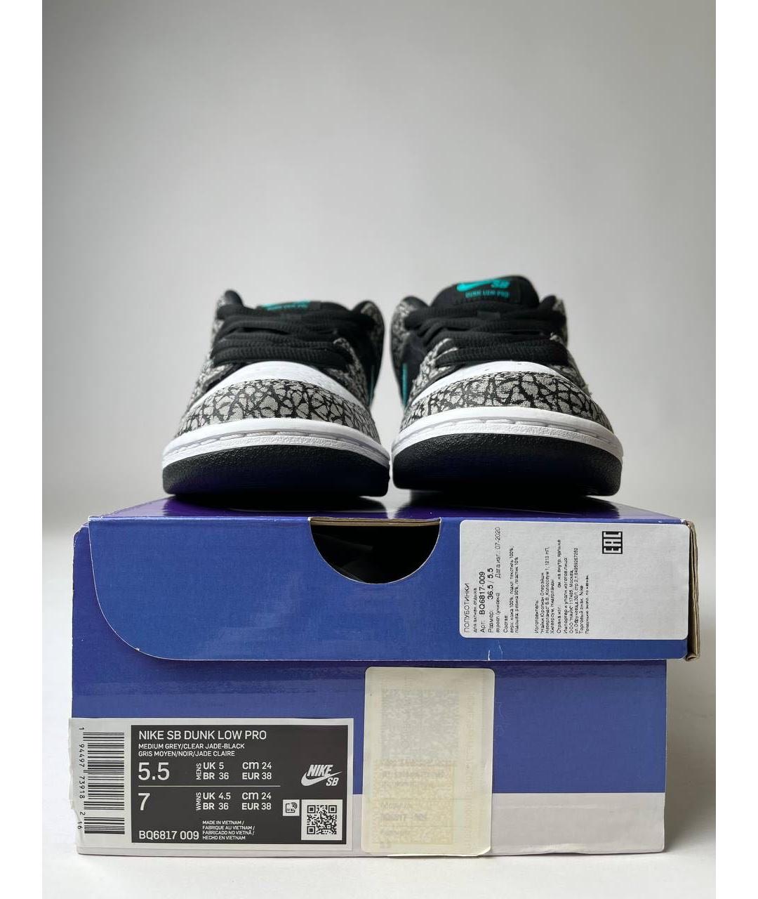 NIKE Dunk