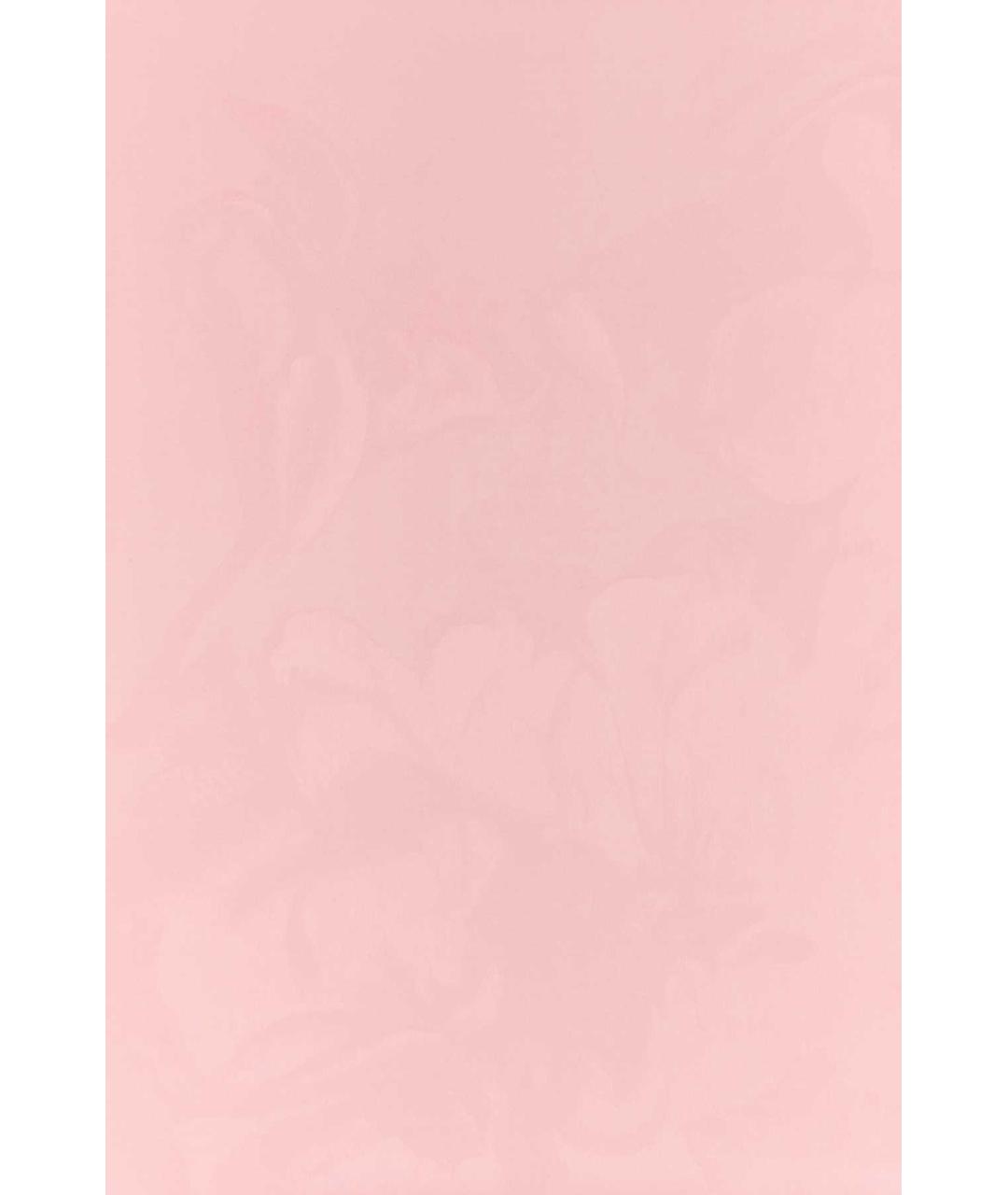 ALEXANDER MCQUEEN Розовый шелковый шарф, фото 3