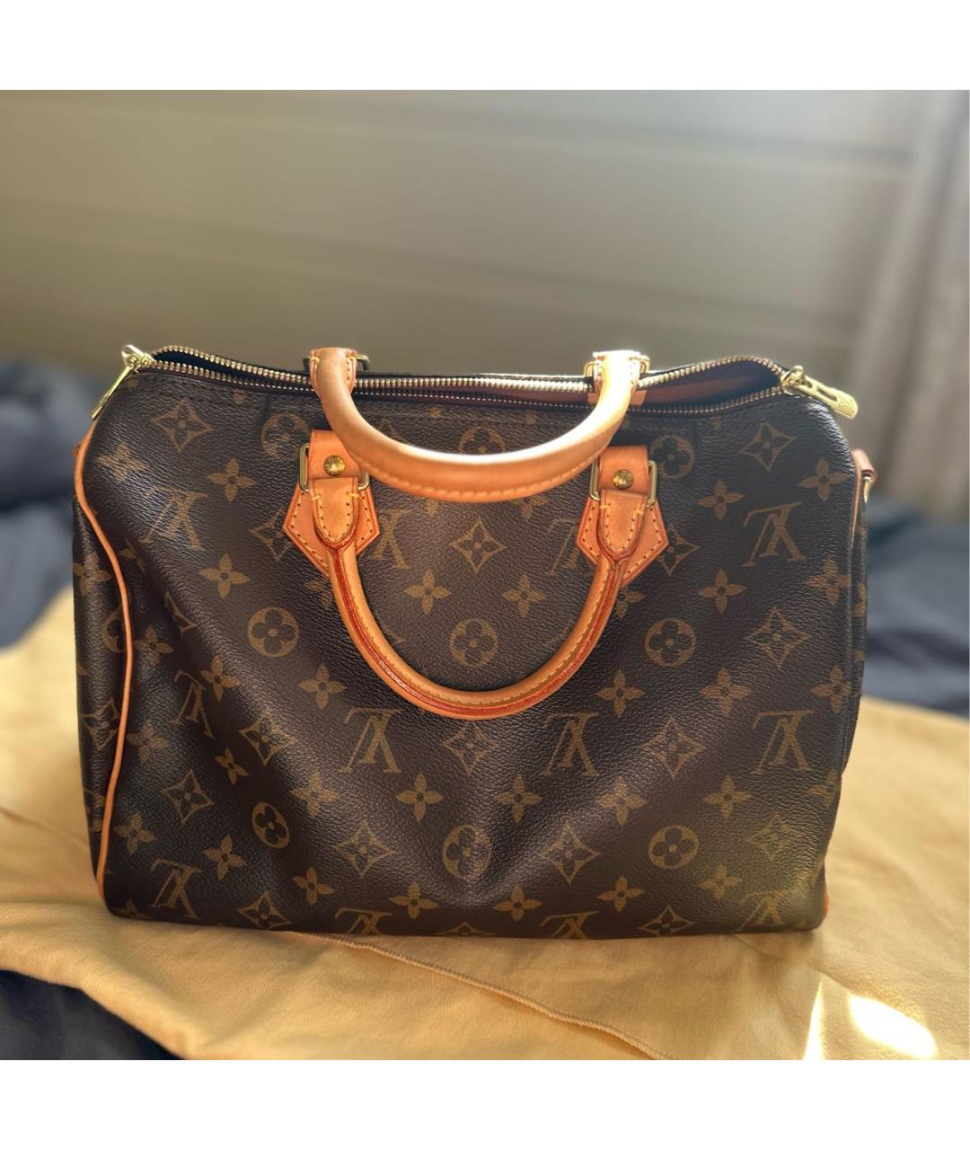 LOUIS VUITTON PRE-OWNED Коричневая кожаная сумка тоут, фото 2