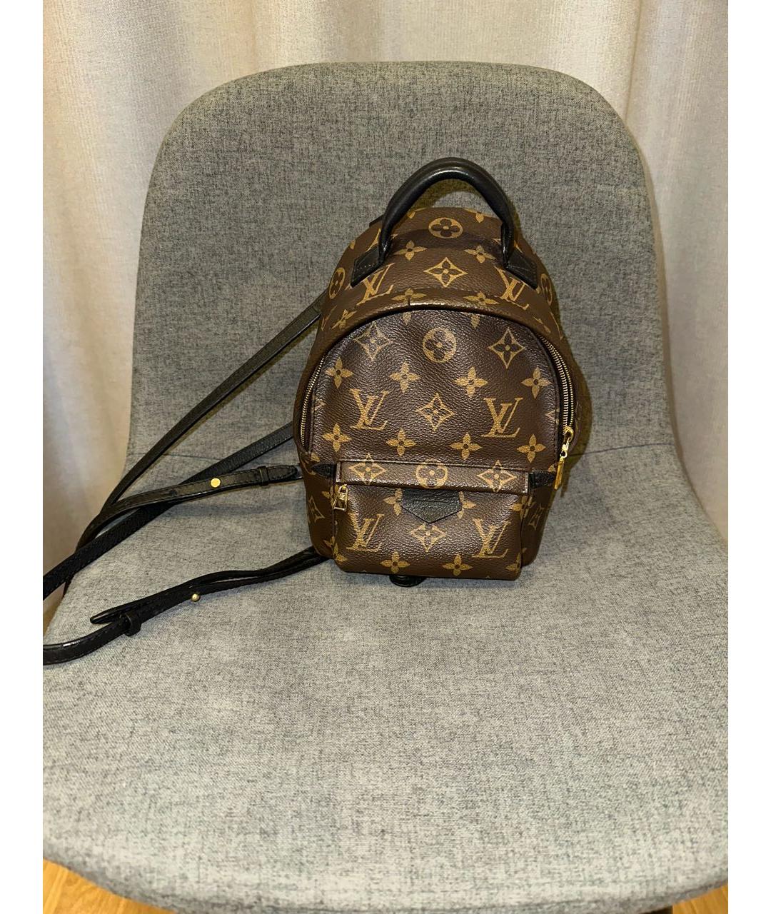 LOUIS VUITTON PRE-OWNED Коричневый рюкзак, фото 8