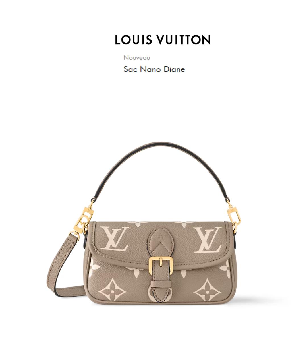 LOUIS VUITTON Бежевая кожаная сумка через плечо, фото 9