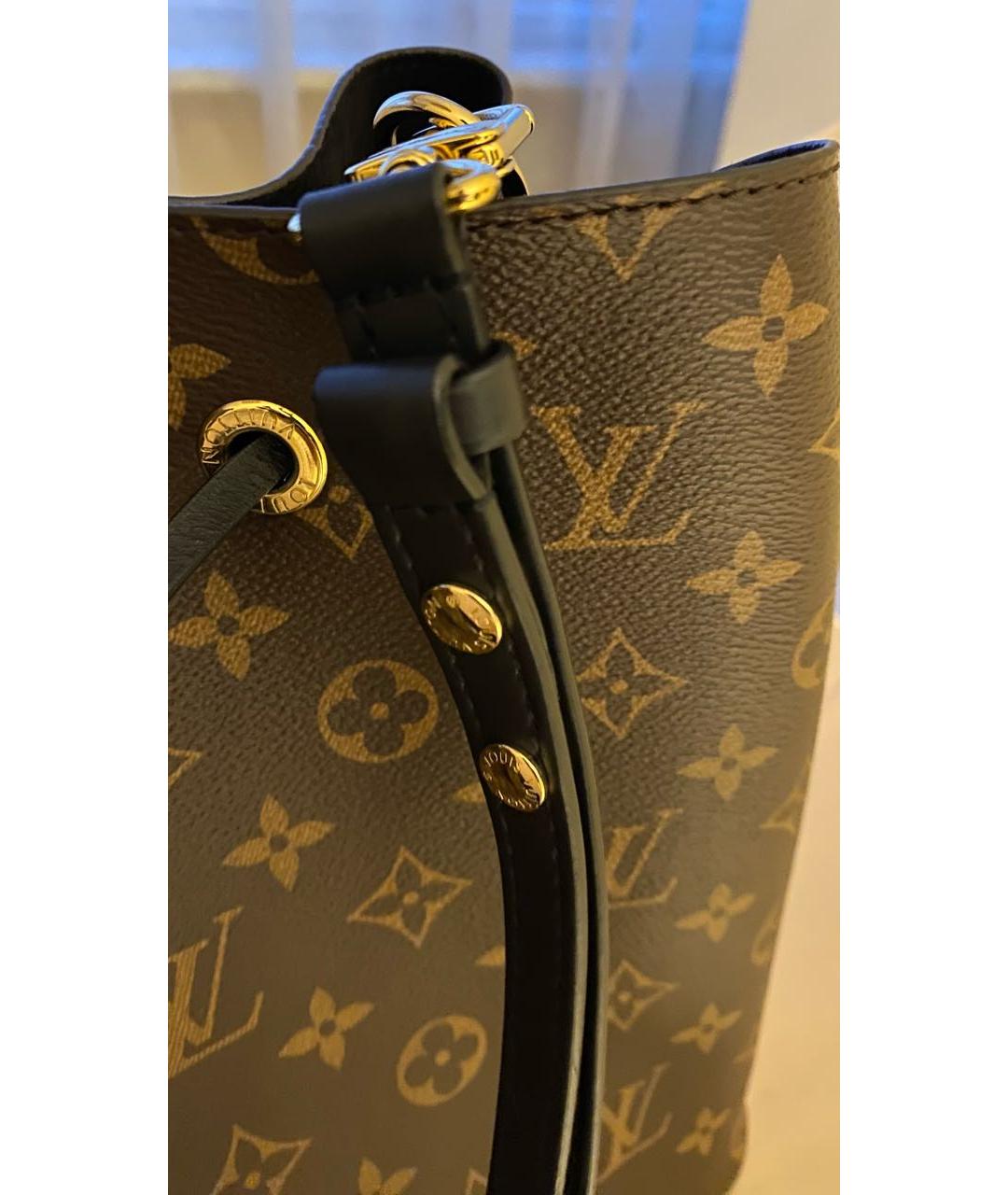 LOUIS VUITTON Коричневая сумка тоут, фото 4