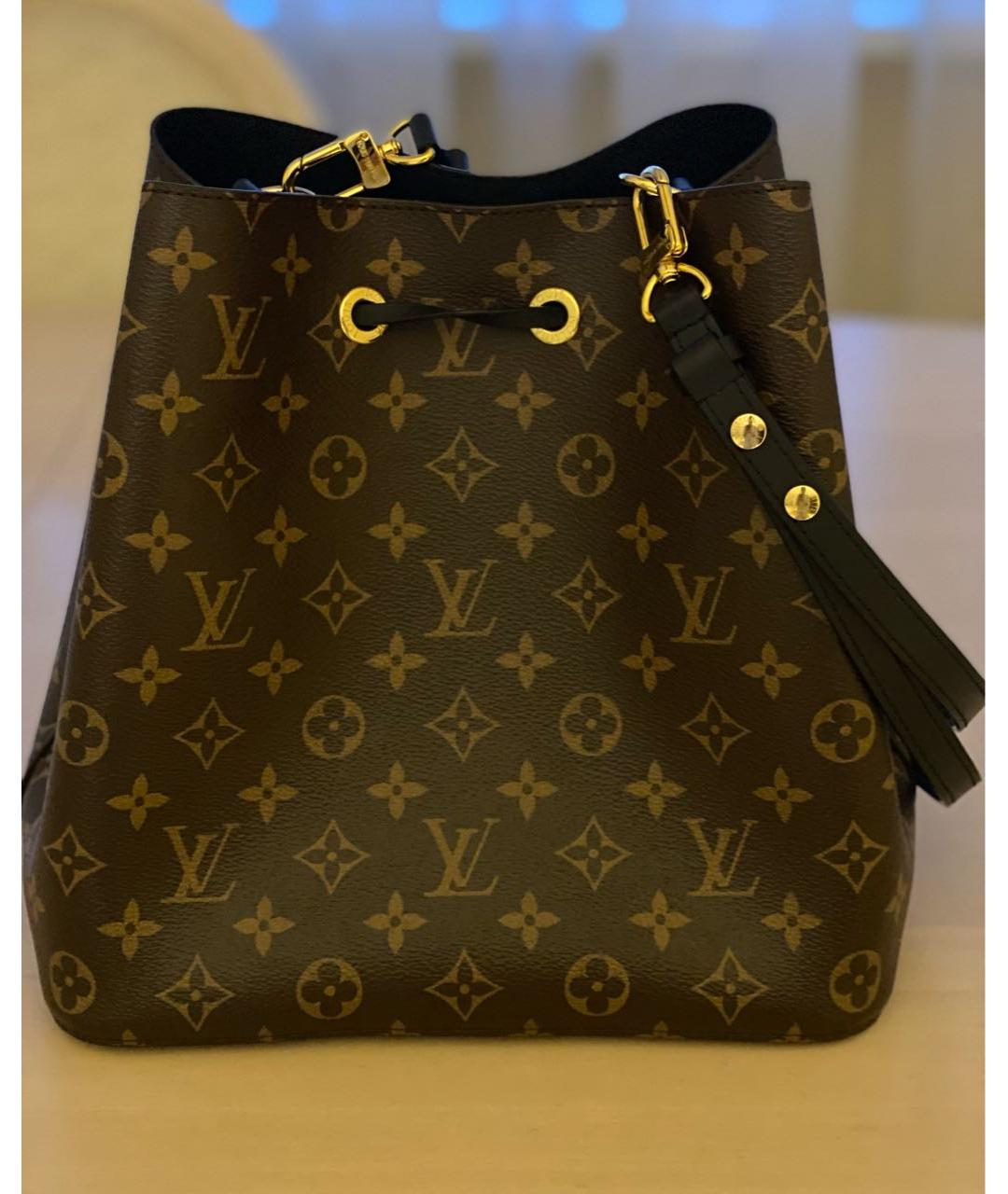 LOUIS VUITTON Коричневая сумка тоут, фото 2