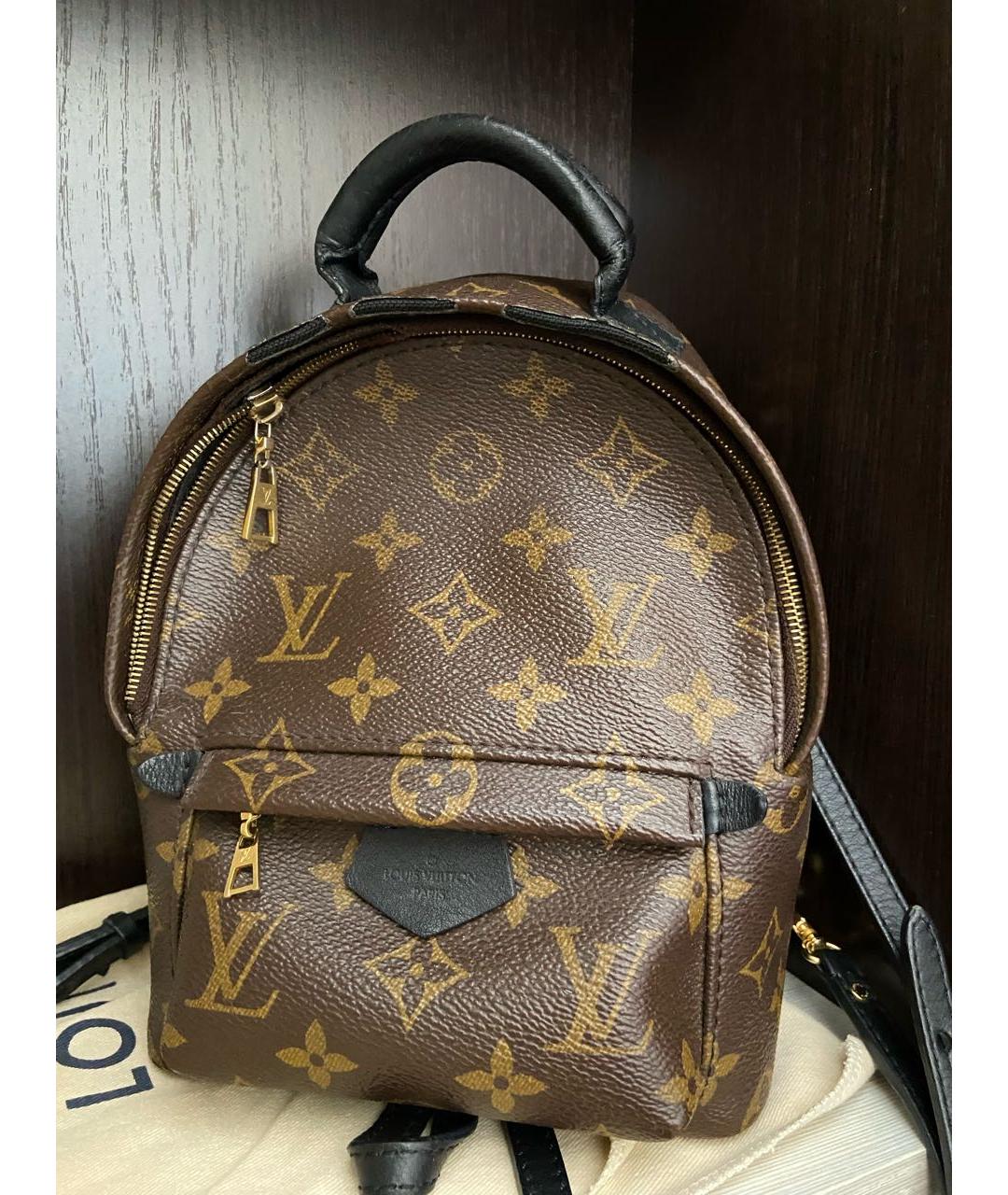 LOUIS VUITTON Коричневый рюкзак, фото 9