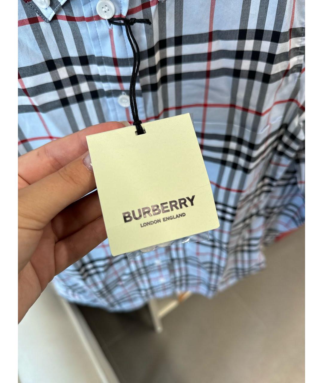 BURBERRY Голубая хлопковая рубашка, фото 5